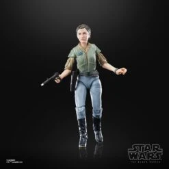Star Wars The Black Series Princess Leia (Endor) -Hasbro Pulse F7051 PROD SW BL ISLAND PARK 089 Online 2000SQ