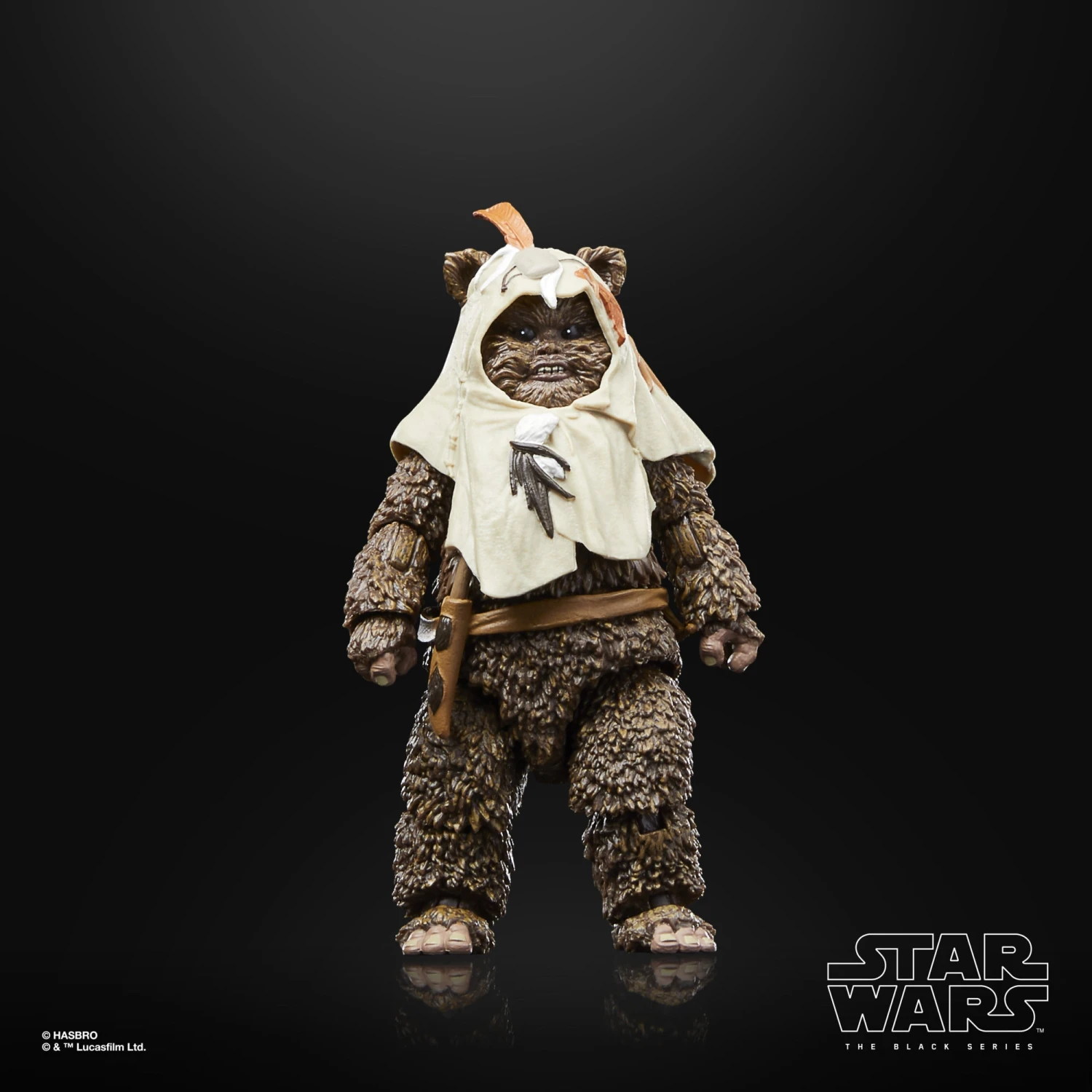 Star Wars The Black Series Paploo - Presale 8 Star Wars The Black Series Paploo - Presale - Image 6