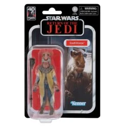 Star Wars The Vintage Collection Saelt-Marae 19 Star Wars The Vintage Collection Saelt-Marae -Hasbro Pulse F73365L20 pkg 22 Online 2000SQ
