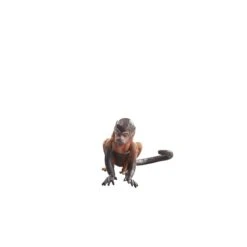 Indiana Jones Adventure Series Indiana Jones (Cairo) - Presale 23 Indiana Jones Adventure Series Indiana Jones (Cairo) - Presale -Hasbro Pulse F8527 PROD INJ AS GLASGOW 202 white