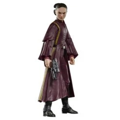 Star Wars The Black Series Padmé Amidala - Presale -Hasbro Pulse G00255X21 detail 23 2000px 300DPI