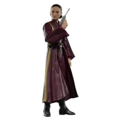 Star Wars The Black Series Padmé Amidala - Presale -Hasbro Pulse G00255X21 detail 5 23 2000px 300DPI